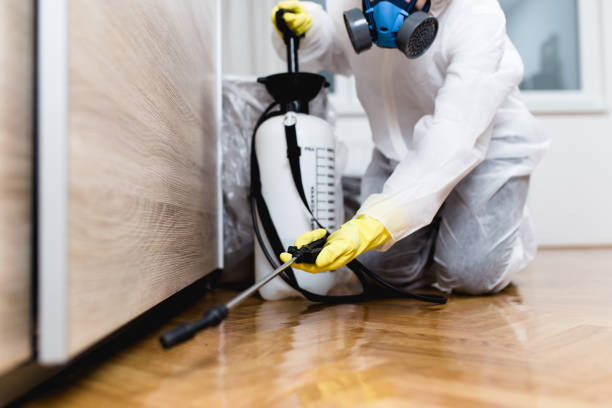 Best Affordable Pest Control Services  in Mulberry, AR