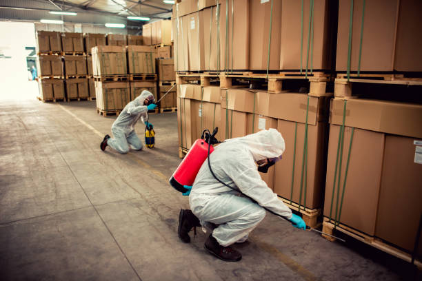 Best Emergency Pest Control  in Mulberry, AR