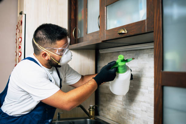 Best Affordable Pest Control Services  in Mulberry, AR