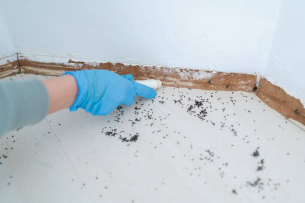 Best Affordable Pest Control Services  in Mulberry, AR