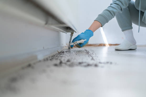 Best Pest Inspection Near Me  in Mulberry, AR