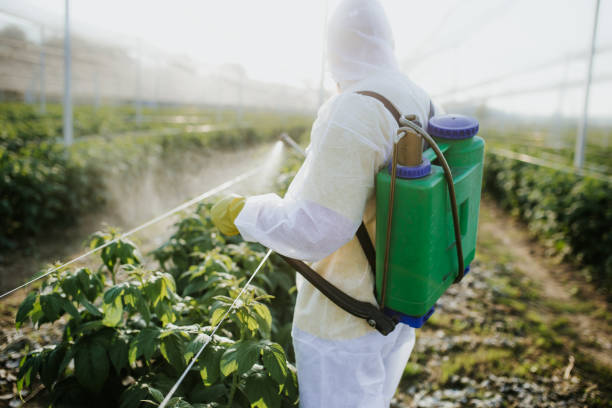 Best Pest Control for Businesses  in Mulberry, AR
